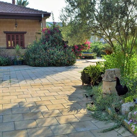Golden Palms Guest House & Cafe Фамагуста Екстериор снимка