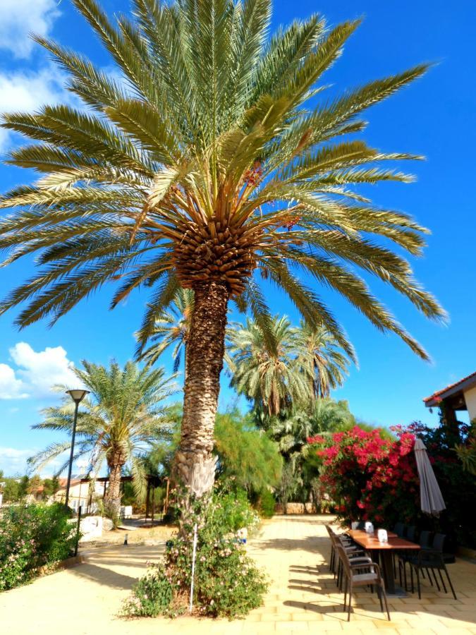 Golden Palms Guest House & Cafe Фамагуста Екстериор снимка