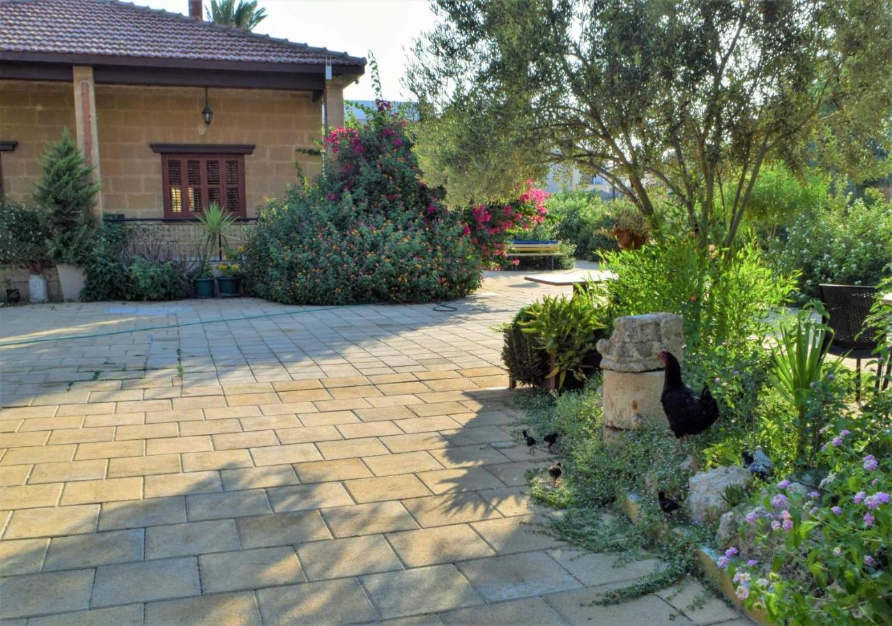 Golden Palms Guest House & Cafe Фамагуста Екстериор снимка